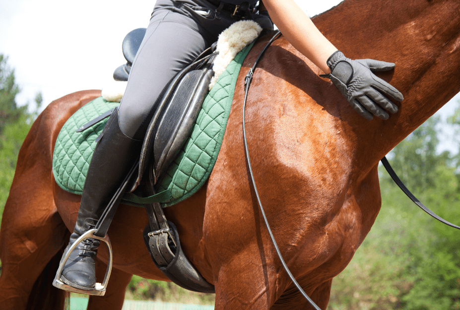 Riding in Summer