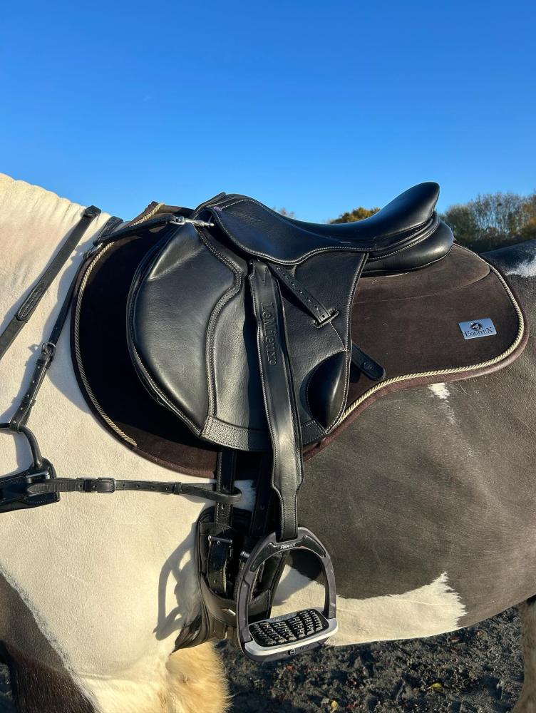 Cavaletti Collection Saddle