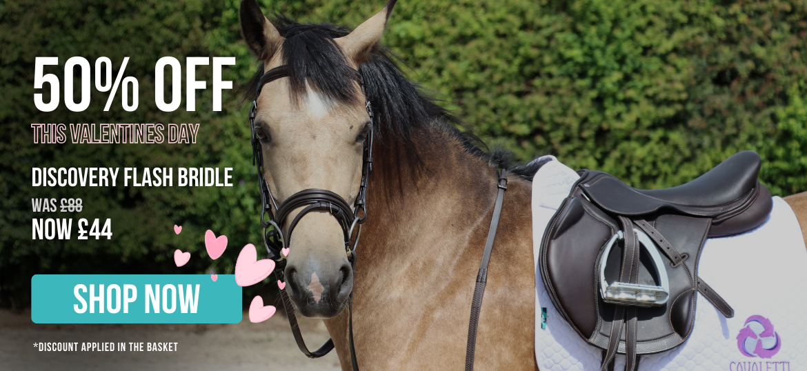 50% off Flash Bridle