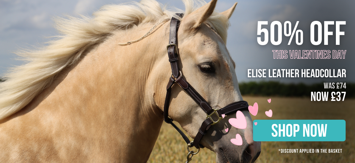 50% off Elise Headcollar